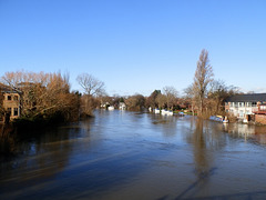 flood jan 2014 (1068)