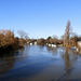 flood jan 2014 (1068)