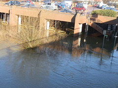 flood jan 2014 (1069)