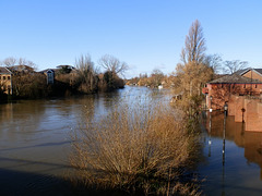 flood jan 2014 (1070)