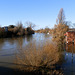 flood jan 2014 (1070)