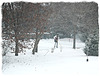 Making a Skating rink