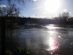 flood jan 2014 (1077)