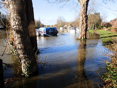 flood jan 2014 (1078)