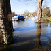 flood jan 2014 (1078)