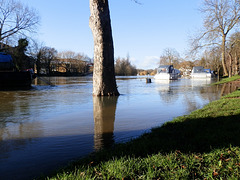 flood jan 2014 (1080)