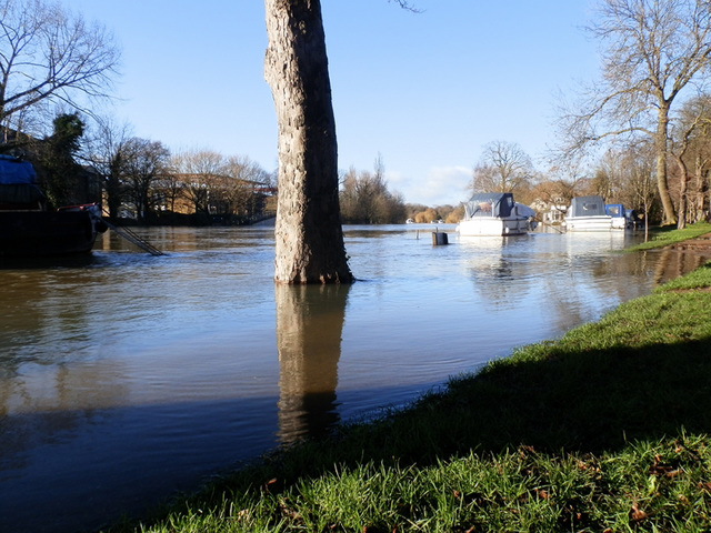 flood jan 2014 (1080)