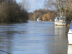 flood jan 2014 (1081)