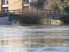 flood jan 2014 (1082)