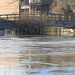 flood jan 2014 (1082)