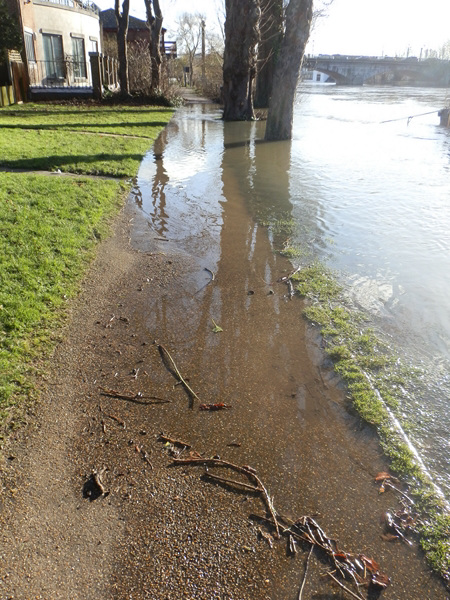 flood jan 2014 (1086)