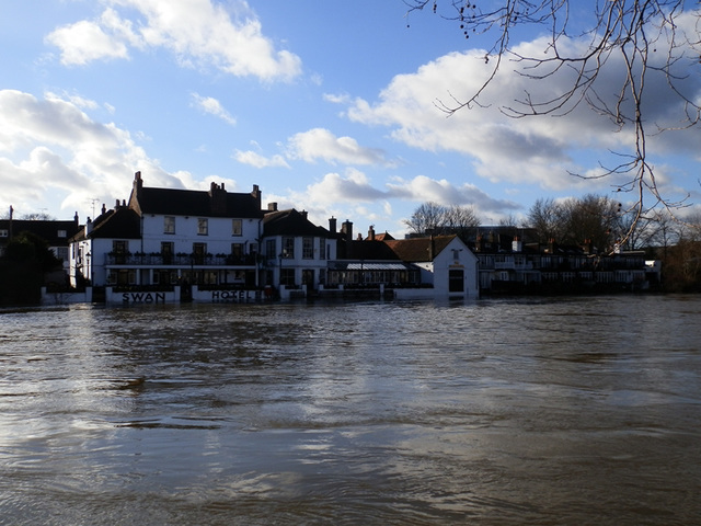 flood jan 2014 (1090)