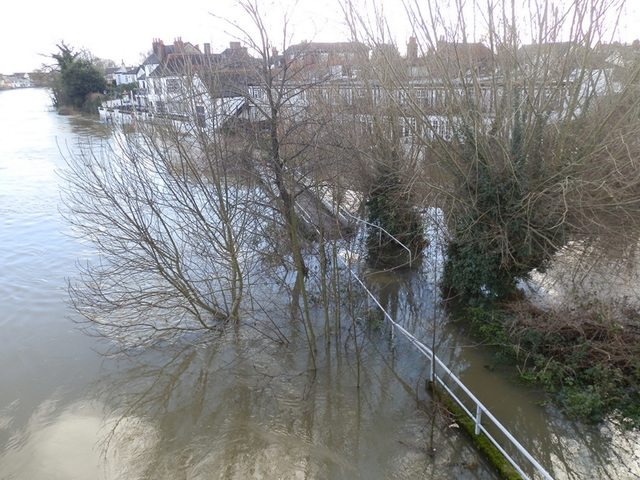 flood jan 2014 (1093)