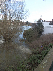 flood jan 2014 (1095)