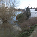 flood jan 2014 (1095)