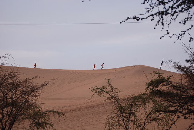 Sur la dune