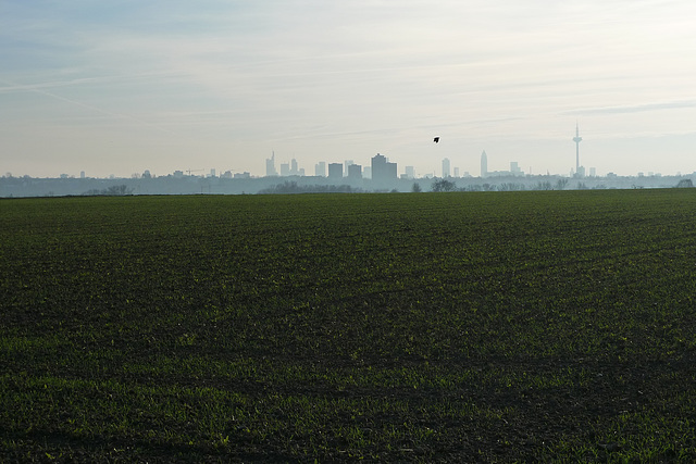 frankfurt-blick-1170946