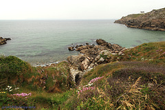 Pointe du Millier_Bretagne 1