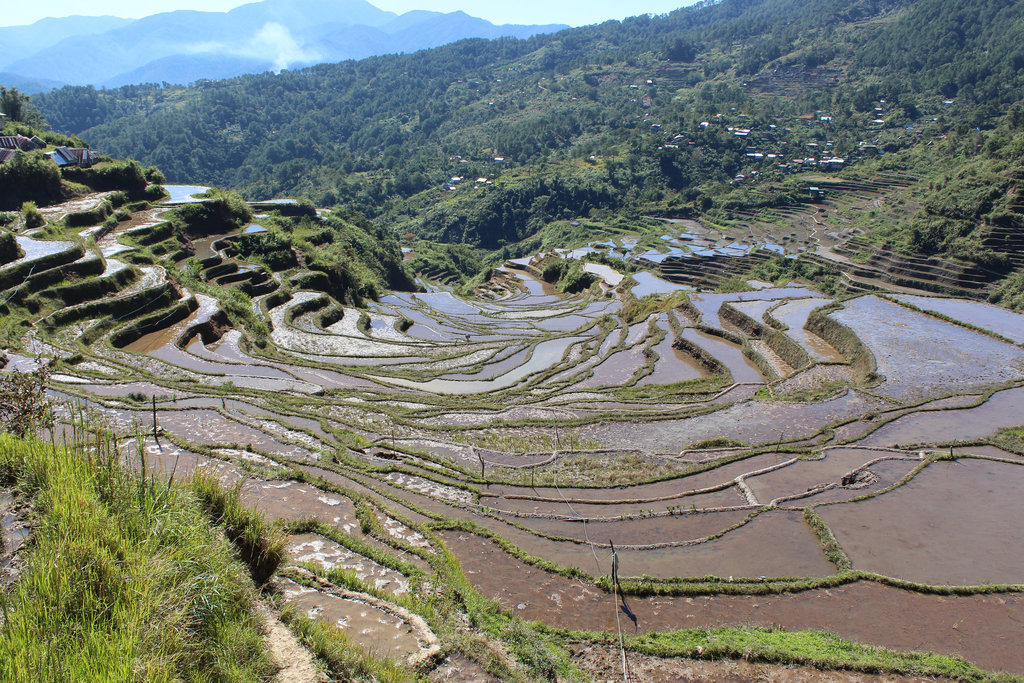 Rice Terraces, Maligcong