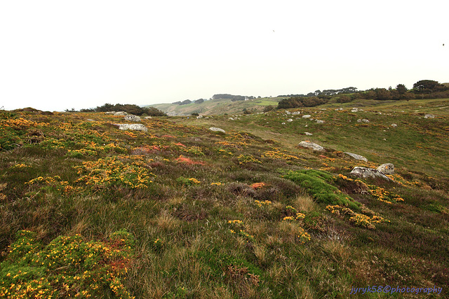 Pointe du Millier_Bretagne 6