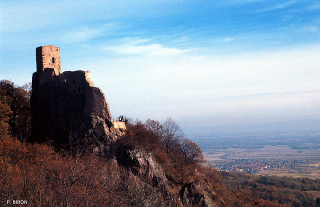 Le Girsberg à Ribeauvillé