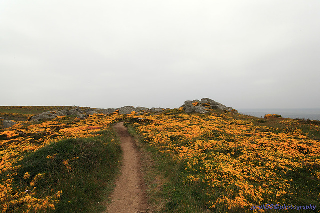 Pointe du Van_Bretagne 1