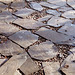 Old slates make good flooring in a garden gazebo
