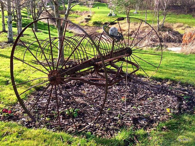 Walter Wood, Hosick Falls, New York 1895 hay rake - 3,100 miles from the factory which produced it!