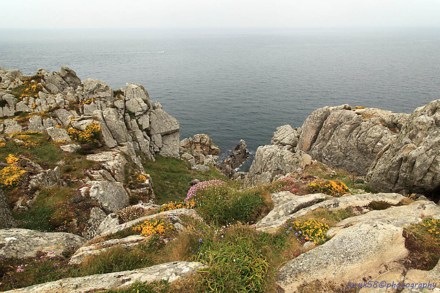 Pointe du Van_Bretagne 10