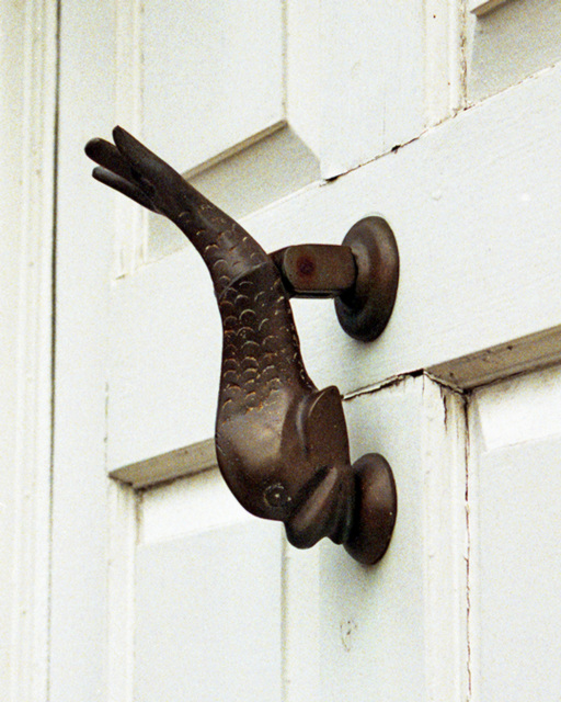 Dolphin Door Knocker