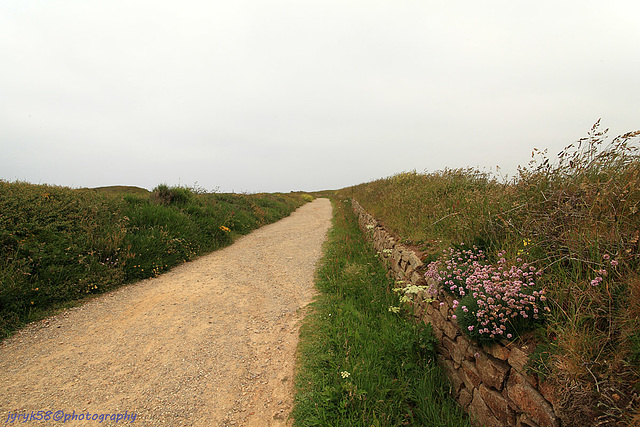 Pointe du Van_Bretagne 19