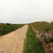 Pointe du Van_Bretagne 19