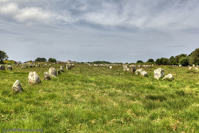 Carnac Ménec Alignments 6