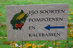 150 soorten pompoenen en kalebassen
