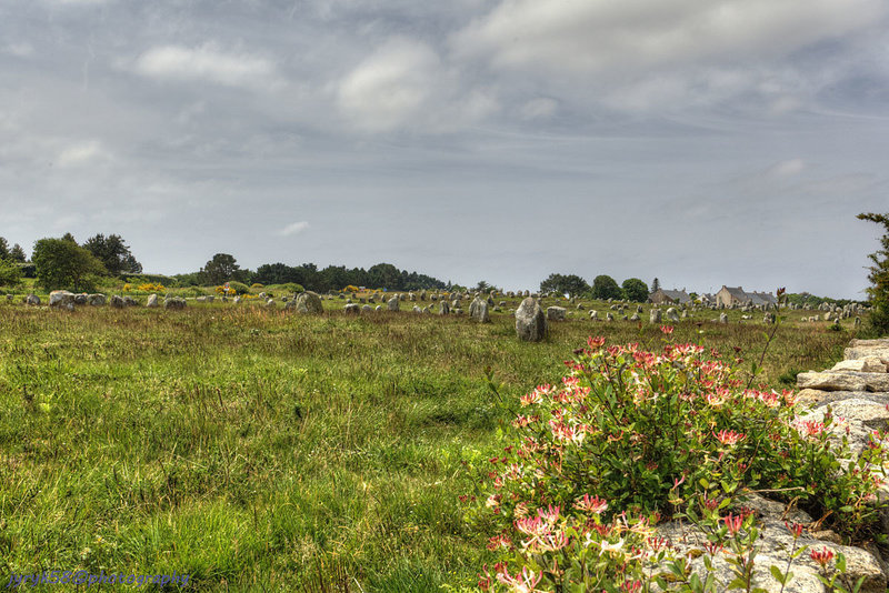 Carnac Ménec Alignments 8