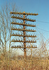 Railroad Pole Line in Decay