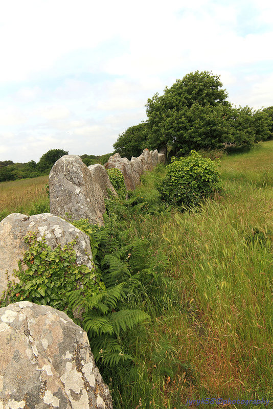 Carnac Ménec Alignments 17