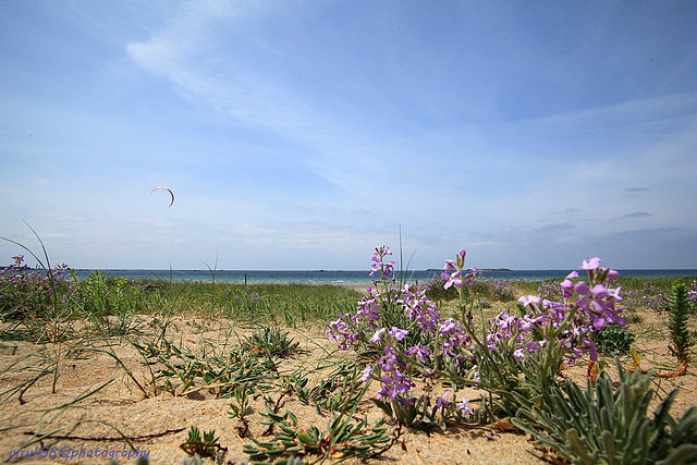 Quiberon_Bretagne