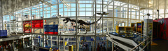 Tyrannosaurus Rex at Leiden Central Station