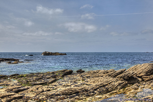 La côte sauvage_Quiberon_Bretagne 3