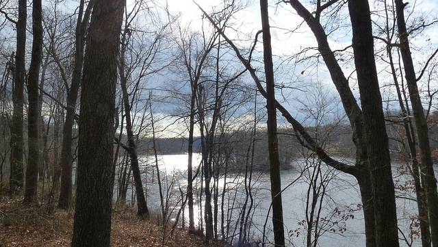 Lake Needwood