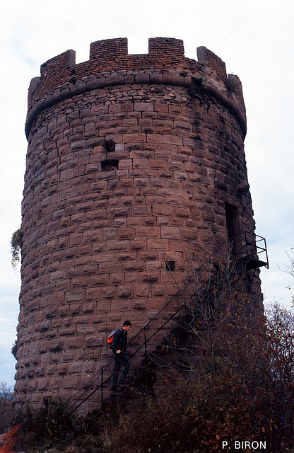 Donjon du Haut-Ribeaupierre