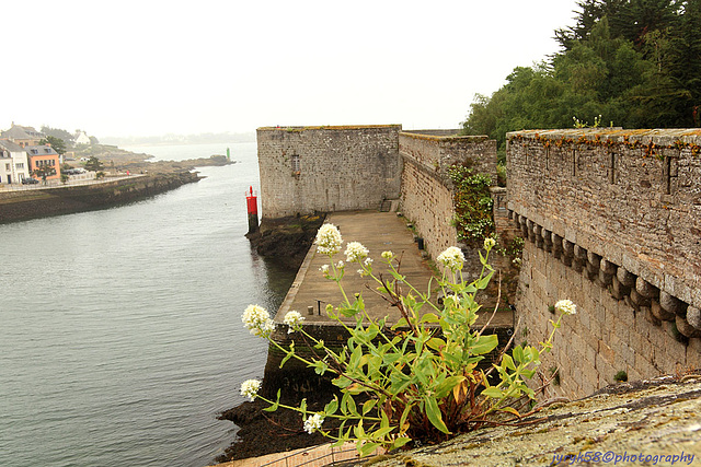 Concarneau_Bretagne 20