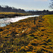 Pendle Water in Winter.