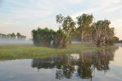 Kakadu morning