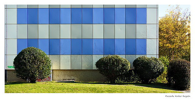 Grüne Kullern vor blau-weißer Fassade
