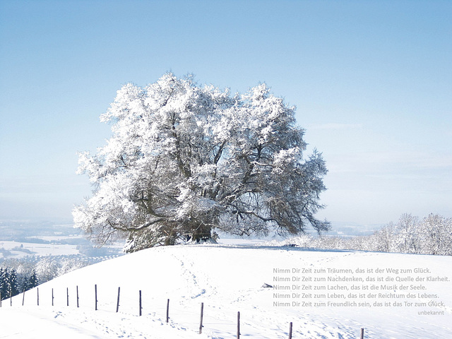 Fröhliche Weihnachten - Merry Christmas - Joyeux Noël - Buon Natale - Feliz Navidad