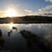 Etang du Château de Carrouges