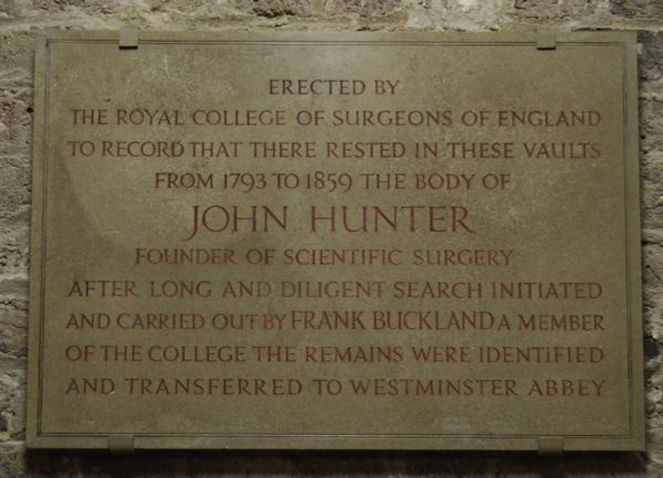 John Hunter plaque