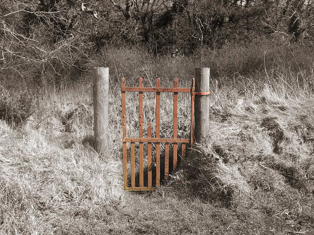 The Rusty Gate